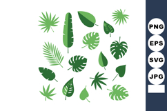 Tropical leaves vector collection with various palm and mons Product Image 1