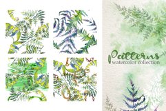 Fern Watercolor png Product Image 2