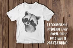 Watercolor animals Raccoon graphics Woodland baby animals Product Image 4