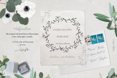 Ink calligraphy illustrations. Floral. Florigraphy Elegant. Product Image 2
