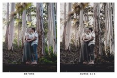 20 Moody Forest Lightroom Presets and LUTs Product Image 6