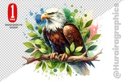 Cute Eagle Clipart - PNG File Product Image 1