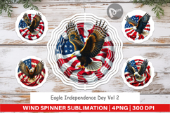 Wind Spinner Eagle 4th of July Product Image 1