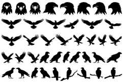 Eagle Silhouette SVG / Eagles SVG / Eagles PNG Product Image 1