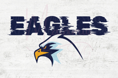 Eagles SVG, Eagle Bird SVG, Patriotic Eagle SVG, Freedom PNG Product Image 4