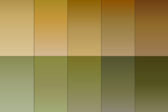 Earthtone Gradient Backgrounds Product Image 3