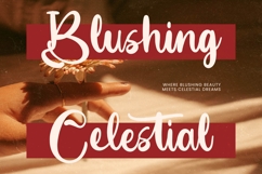 Earthy Nautical Bold Calligraphy Font Product Image 14