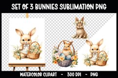 3 Bunny with Flowers Clip Arts I Watercolour PNGs Product Image 1