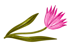 Whimsical Spring Bunny Car Clipart Set Floral Pink Retro Car Product Image 4