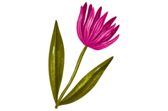 Whimsical Spring Bunny Car Clipart Set Floral Pink Retro Car Product Image 3