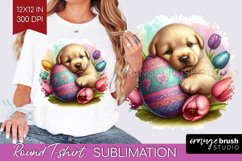 Easter Animals Round Tshirt Background - Bunny Ears PNG Product Image 1