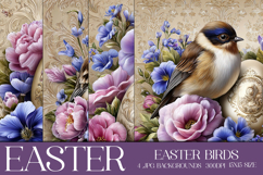 Easter Backgrounds, Easter Card, Easter Bird Backgrounds, s1 Product Image 1