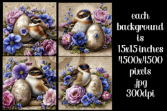 Easter Backgrounds, Easter Card, Easter Bird Backgrounds, s1 Product Image 2