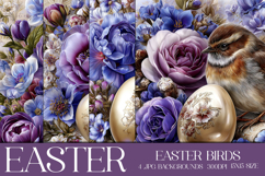 Easter Backgrounds, Easter Card, Easter Bird Backgrounds, s3 Product Image 1