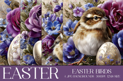 Easter Backgrounds, Easter Card, Easter Bird Backgrounds, s4 Product Image 1