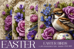 Easter Backgrounds, Easter Card, Easter Bird Backgrounds, s5 Product Image 1