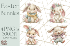 Easter Bunny Clipart PNG, Cute Bunny Characters, Pastel Product Image 1