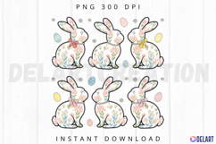 Easter Bunny Sublimation PNG Product Image 1