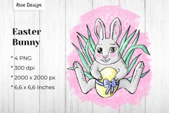 easter bunny sublimation - cover