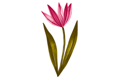 Spring Bunny Floral Illustration Set Product Image 5