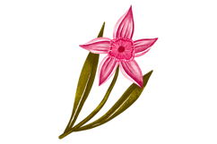 Spring Bunny Floral Illustration Set Product Image 3