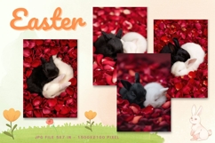 Easter Bunny Card Flower Rabbit Greeting Printable Card_97 Product Image 1