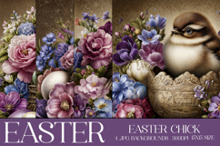 Easter Background, Easter Card, Easter Chick Backgrounds, s1 Product Image 1