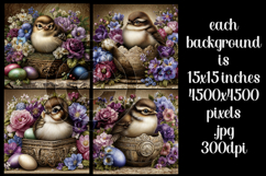 Easter Background, Easter Card, Easter Chick Backgrounds, s2 Product Image 2