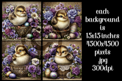 Easter Background, Easter Card, Easter Chick Backgrounds, s3 Product Image 2