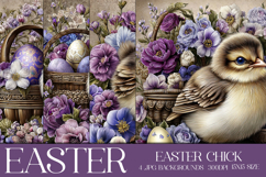 Easter Background, Easter Card, Easter Chick Backgrounds, s4 Product Image 1