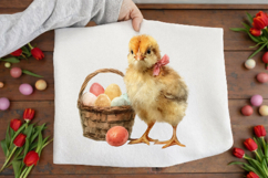 Easter Chicks Clipart Product Image 3