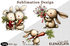 Spring animal clipart|Cute bunny, animals clipart Product Image 1