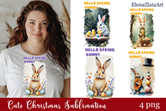 Spring bunny animal Sarcastic easter Clipart Product Image 1