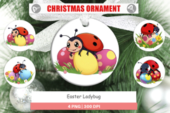 Ornament Easter Ladybug Product Image 1