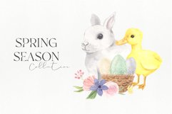 Watrecolor Spring Animals and Flowers clipart set Product Image 3