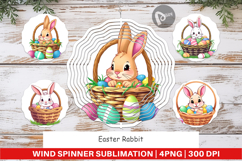 Wind Spinner Easter Rabbit Product Image 1
