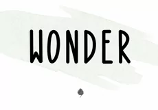 Bonfire - A Bold Handwritten Font - Free Font of The Week Product Image 3
