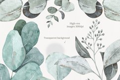 Watercolor eucalyptus clipart Product Image 4