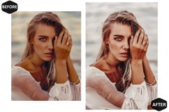 10 Clean Nudes Photoshop Actions And ACR Presets, beige Ps Product Image 4