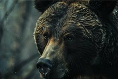 Close up of a brown bear&#039;s face Product Image 1