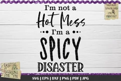 I'm Not A Hot Mess SVG | Spicy Disaster Svg | Mom life svg Product Image 2