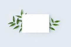 Blank paper card and green leaves of pistachio Product Image 1