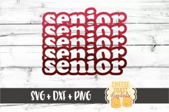 Senior - High School / College Graduation SVG PNG DXF Files Product Image 2