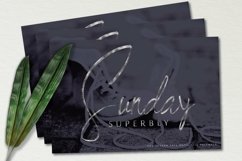 Web Font BlackSilver Brush Font Product Image 12