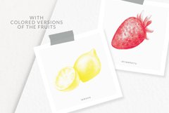 Hand drawn Fruit Collection Product Image 10