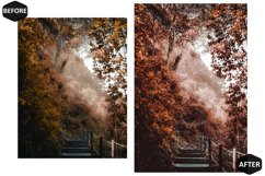 10 Rich And Moody Photoshop Actions And ACR Presets, fall Ps Product Image 9