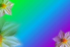 Background flower gradation for sublim or printing 28 Product Image 1