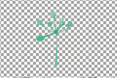 Faded orange and blush flowers and green leaves watercolor Product Image 24