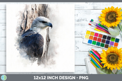 Whitebellied Sea Eagle Tree Peek Paper Backgrounds Design Product Image 1
