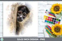 Spider Monkey 01.png Primate Tree Peek-A-Boo Paper Backgroun Product Image 1